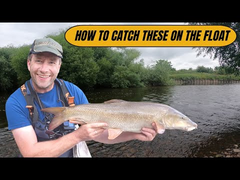Mastering Float Fishing For Big Barbel: Trent River Techniques Revealed In Part 3! #Trent #River