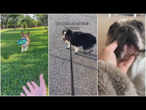 you gotta speak in their native language