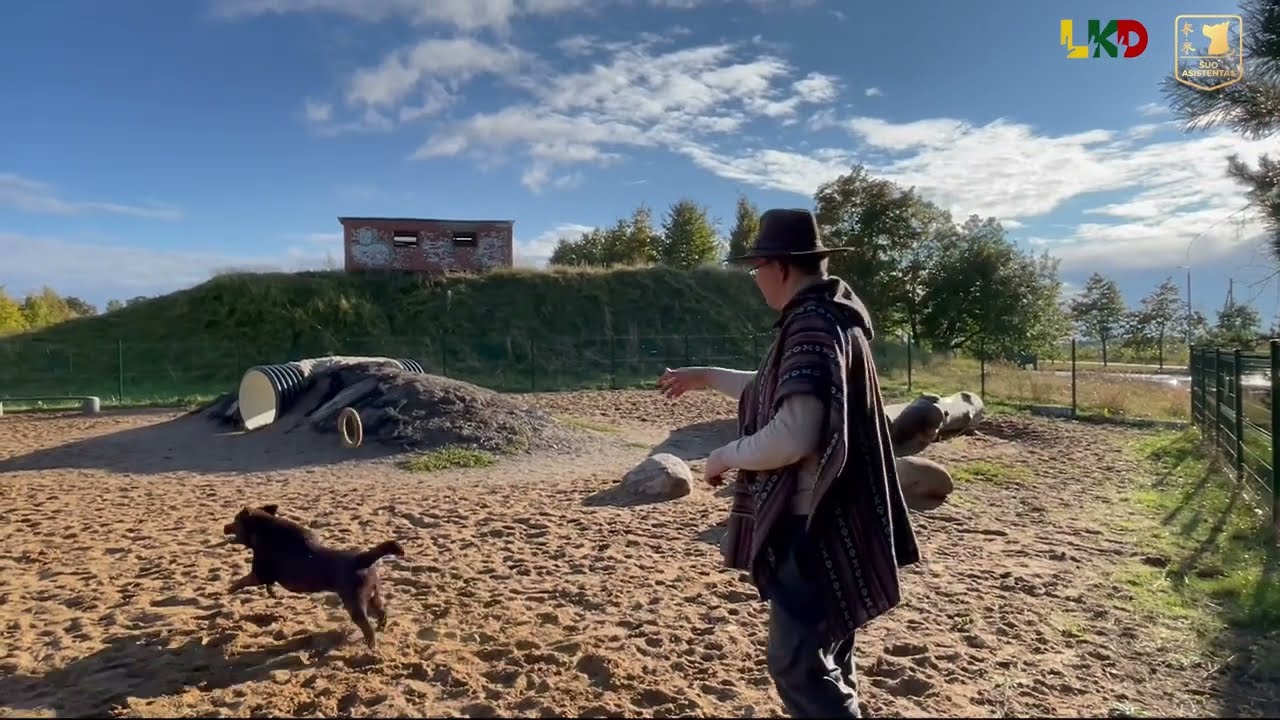 Ajana siekia Gineso rekordo