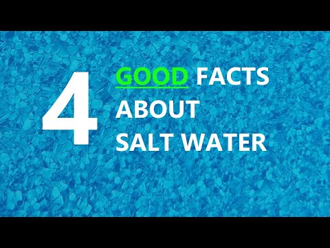 4 Good Facts About Salt Water Pools