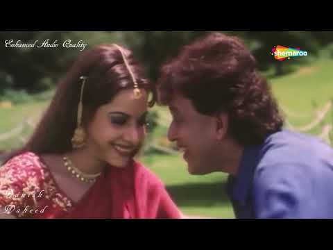 Tere Bin Zindagi | HD Audio Quality | Heeralal Panalal | Udit Naryan | Anuradha Paudwal | By Danish