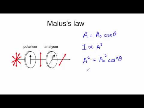 Malus' law