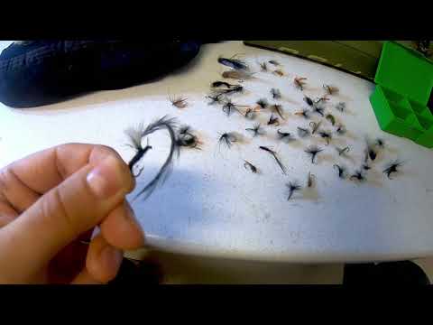 Harri Kalassa - Jakso 9 - Harri laittaa perhokamat kasaan reissua varten