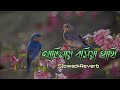 আঙিনায় বসিয়া পাখি | Anginay bosia pakhi | Slowed+Reverb | Bangla Lofi Music