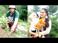 गांव की मेहनत भरी ज़िन्दगी Raising Apple Rootstock