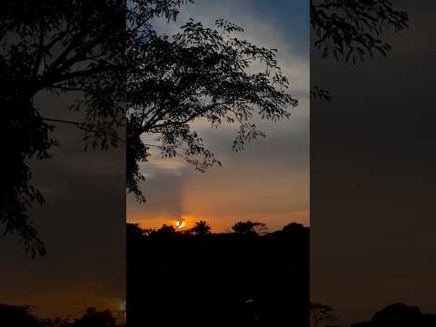 Un atardecer de Mompox - Bolivar hoy para todas esas lindas madres🌻#mundial #mejoresmomentos