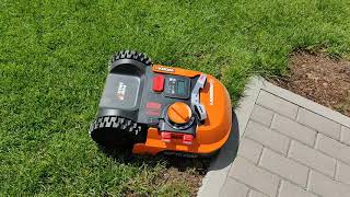 Worx Landroid WR143E M1000 (2020) in action.