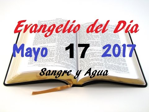 Evangelio del Dia- Miercoles 17 de Mayo- Yo Soy la Vid- Sangre y Agua