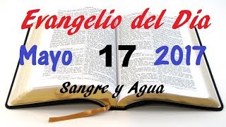 Evangelio del Dia- Miercoles 17 de Mayo- Yo Soy la Vid- Sangre y Agua