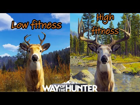 Knowing the difference between high and low fitness animals