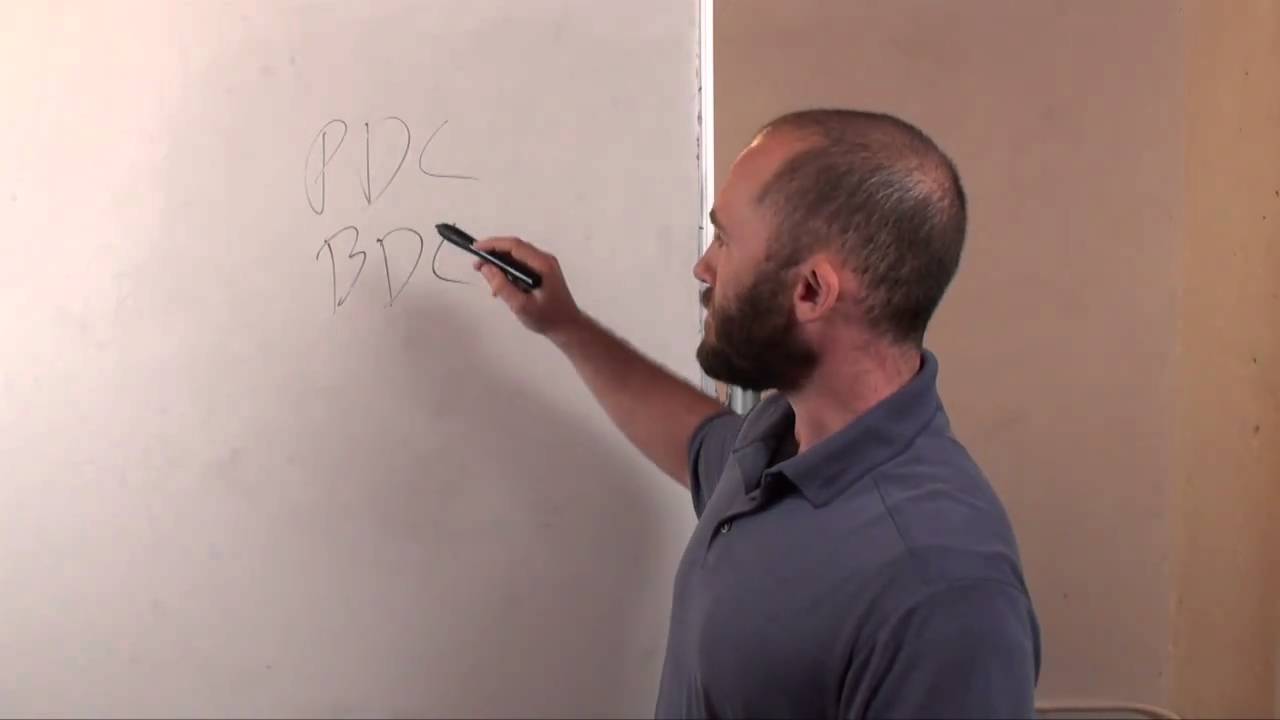 Introduction to Domains