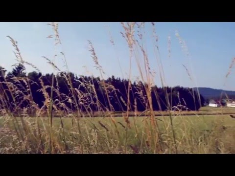 LUKΛS - Wiese meiner Träume [Musikvideo]