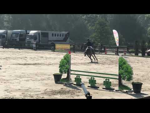 Oilily de Muze 4yr cyclus basecles 2018