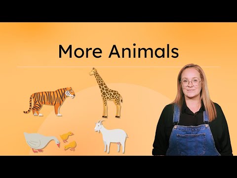 More Animals - Zoo and Farm Animal Signs in ASL