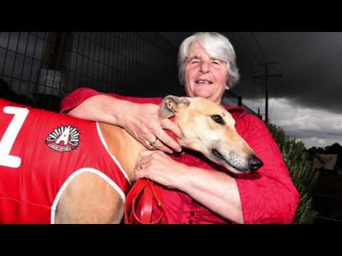 Victorian greyhound racing connecting with stakeholders and local communities