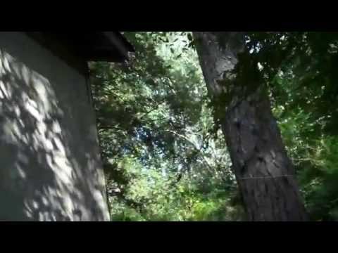 Budget Car Rental Jackson Ms Find The Business