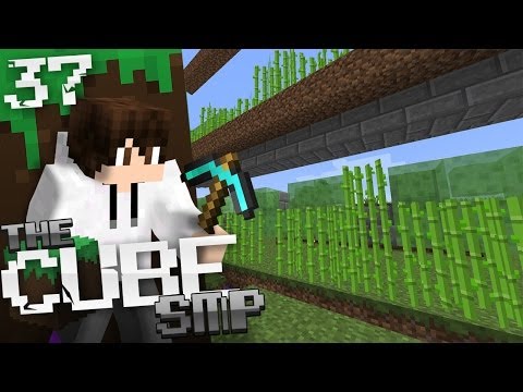 Minecraft Cube SMP: E37 - Farming Inspiration