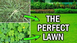 How to Get Rid of Crabgrass And Clovers in the Lawn
