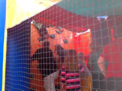 May 15, 2011 12:31 PM