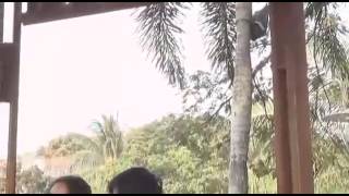 Download lagu Ado ado bae.. bikin ngakak#lawak Jambi palembang mp3