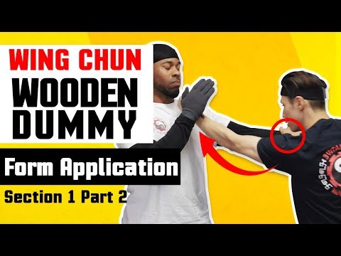 Wing Chun Wooden Dummy Training Form Application Section 1 - Part 2