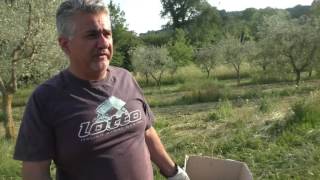 rifiuti-e-amianto-nelle-campagne-di-ariano