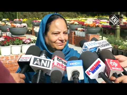 Srinagar’s Gul-e-Bag-e-Dawood is ready to welcome visitors, with the Chrysa...