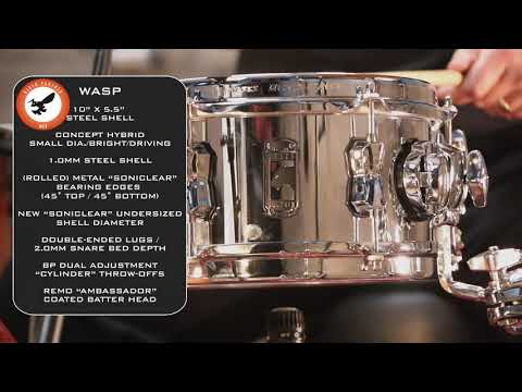 Mapex Black Panther Wasp 10