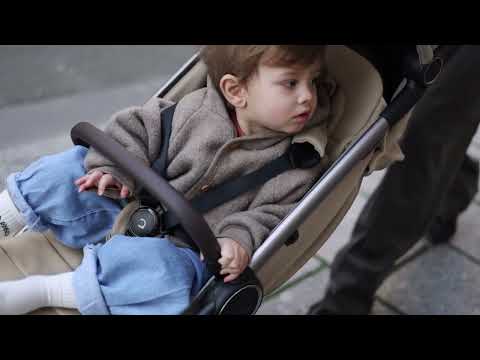 Anex IQ Seal: The Calm Side of Parenthood