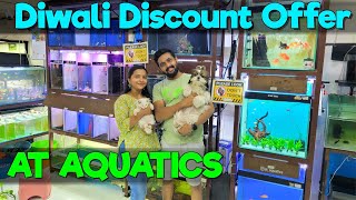 AT Aquatics Shares Top Diwali Discount Fish Stock Picks!