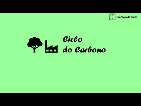 Ciclo do Carbono