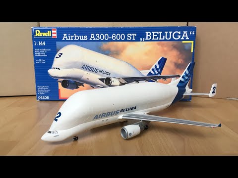 download lagu mp3 mp4 Beluga Model, download lagu Beluga Model gratis, unduh video klip Beluga Model