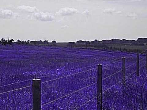 Brooke & Me.  Summer 2009. for MJ- I love you xx