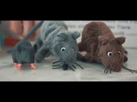 Vetmeduni Vienna - Tag der offenen Tür 2017