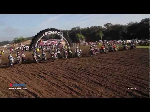 2011 Mini O's SX Uncut - SchoolBoy2 Moto 1 ft Webb / Alix / Coates