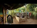 Tamilnadu Phone Blast Video