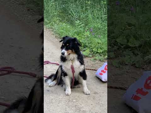 Rettungseinsatz mitten im Nirgendwo!