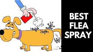 Best Flea Spray For Home To Buy (Reviews 2022)