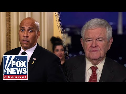 'JUST PLAIN WEIRD': Newt Gingrich reflects on Cory Booker's 'performance'