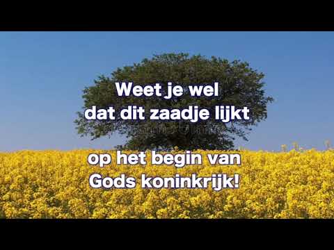 Opwekking kids 167 Het mosterdzaad