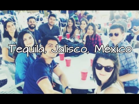 download lagu mp3 mp4 Leyva Tequila, download lagu Leyva Tequila gratis, unduh video klip Leyva Tequila