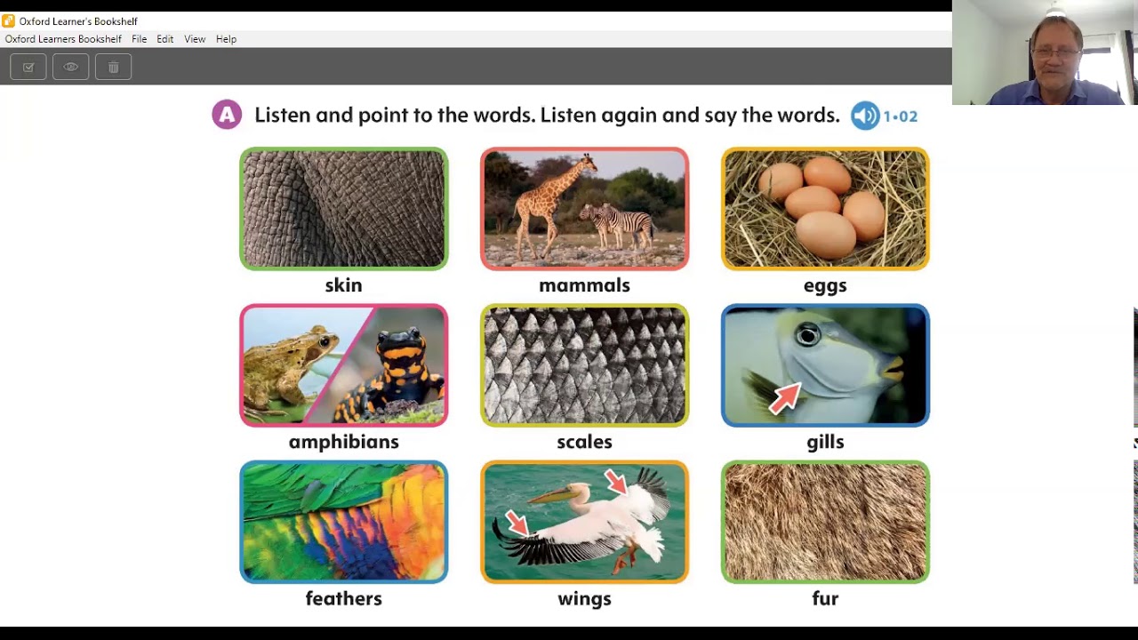 Learn at Home help for Teachers: Teaching Vocabulary for Primary with Classroom Presentation Tools