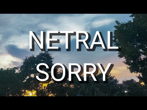 Netral - Sorry (Lirik)