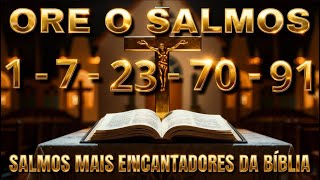 OS SALMOS QUE ECOAM NO SILENCIO DA ALMA | DO 1 AO 91