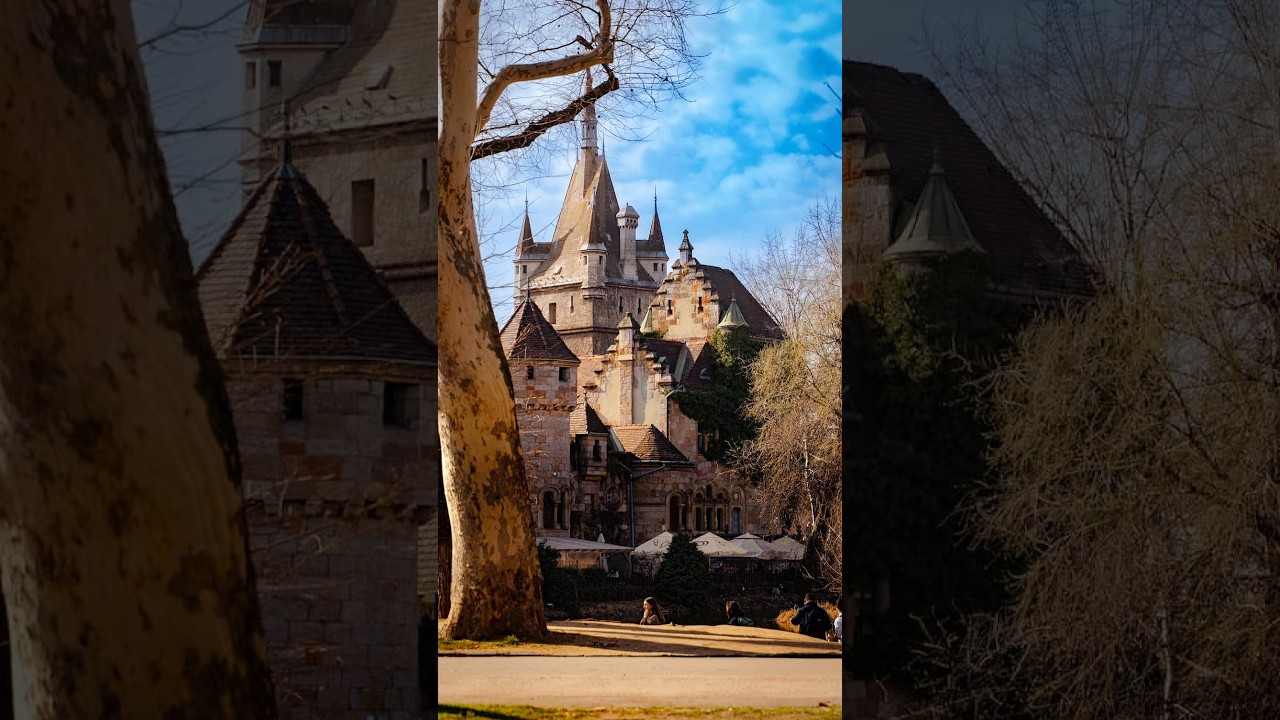 Magical Photoshoot at Vajdahunyad Castle, Budapest 📸✨