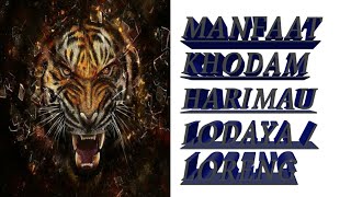 Download lagu Ciri orang mempunyai khodam pendamping / harimau loreng mp3 Download lagu Ciri orang mempunyai khodam pendamping / harimau loreng mp3