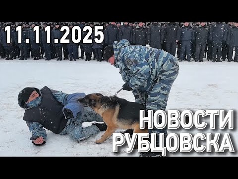 Новости Рубцовска (11.11.2025)