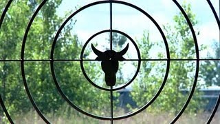 preview picture of video 'Bullseye Shooting Range of North Branch, MN'