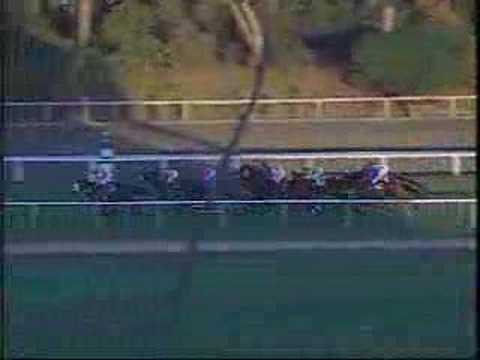 2002 Hollywood Derby