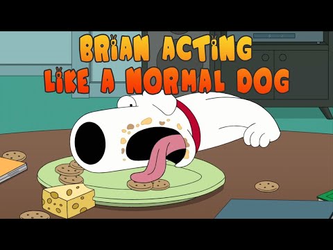 Best of BRIAN being a DOG || Family Guy
